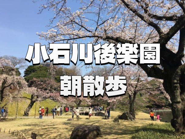 【入園料込み】春の彩り🌸と歴史✨ 小石川後楽園 朝の回遊
