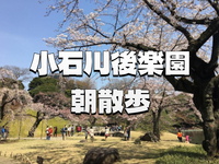 【入園料込み】春の彩り🌸と歴史✨ 小石川後楽園 朝の回遊