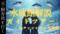 【2/15(日)】 元･水族館飼育員のサンシャイン水族館解説ガイドツアー