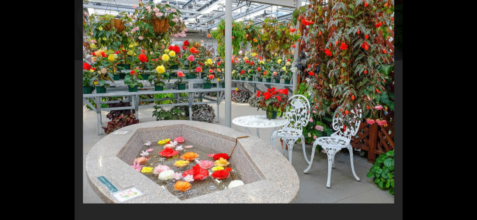 【インスタで話題のスポット🍃神代植物公園春の花💐見頃の梅を見に行こう