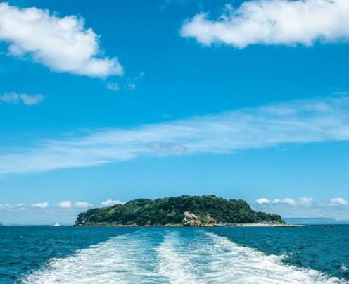 【20代〜30代限定】横須賀中央駅集合🚋横須賀ポートマーケット＆猿島探検ツアー⛴️3時間贅沢体験