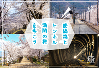 桜のトンネルと廃線路を歩きながらハイキングを楽しもう！