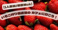 【早割あり】いちご狩り園直営のカフェに行こう！