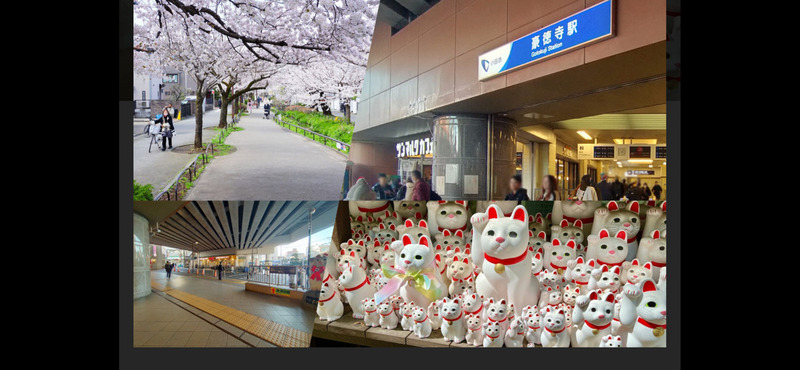 【世田谷・豪徳寺で招き猫に囲まれる癒やし散歩と商店街食べ歩き🍡🐾