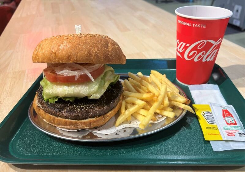 【30代中盤〜40代中心】お得な切符で横須賀ランチ&猿島散策&東京湾をフェリーでクルージング