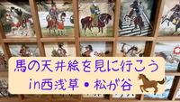 うま年にみたい？圧巻！一面に広がる100枚の天井絵馬を見に行こう+お寺巡り🐎