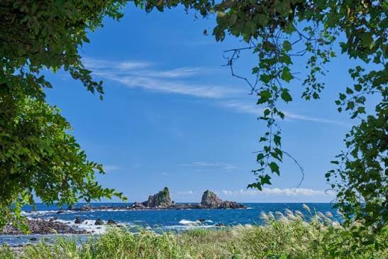 ハイキング初心者🔰【春の真鶴周遊ウォーキングコース🌿】パワースポットのお林も🌲春風に吹かれに小旅行へ出かけよう✨