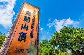 【登山初心者歓迎🔰】1号路と4号路で小春日和の高尾山登山⛰️自然と食も満喫する休日を過ごしませんか?🌸✨