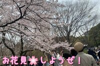 お花見🌸しようぜ！【鬼ごっこサークル】