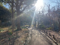 🚶🏻【日比谷公園】朝さんぽ と カフェトーク