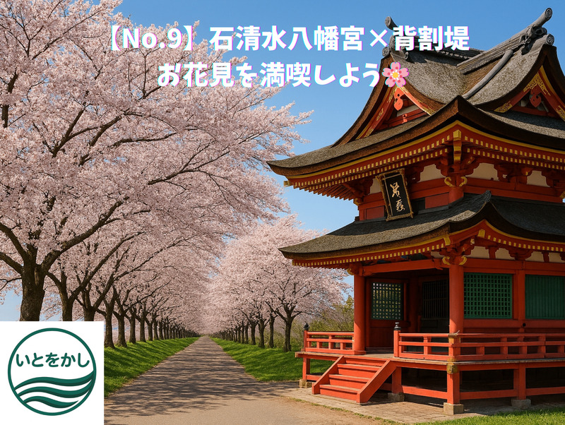 【No.9】石清水八幡宮×背割堤　お花見を満喫しよう🌸