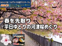 平日開催🌸超おトクなまぐろきっぷで河津桜とまんぷくツアー