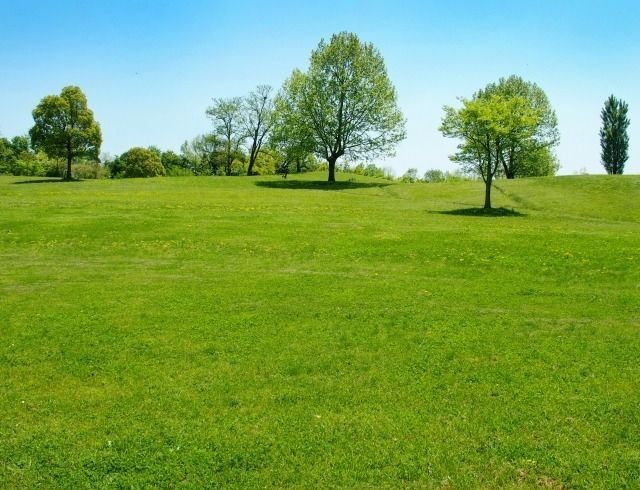 👩20代30代女性限定🌳光が丘公園芝生広場で白熱！2人1組チーム対抗・鬼捕まえタイムアタック✨2時間限定