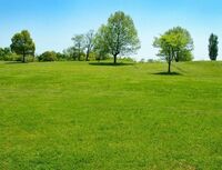 👩20代30代女性限定🌳光が丘公園芝生広場で白熱！2人1組チーム対抗・鬼捕まえタイムアタック✨2時間限定