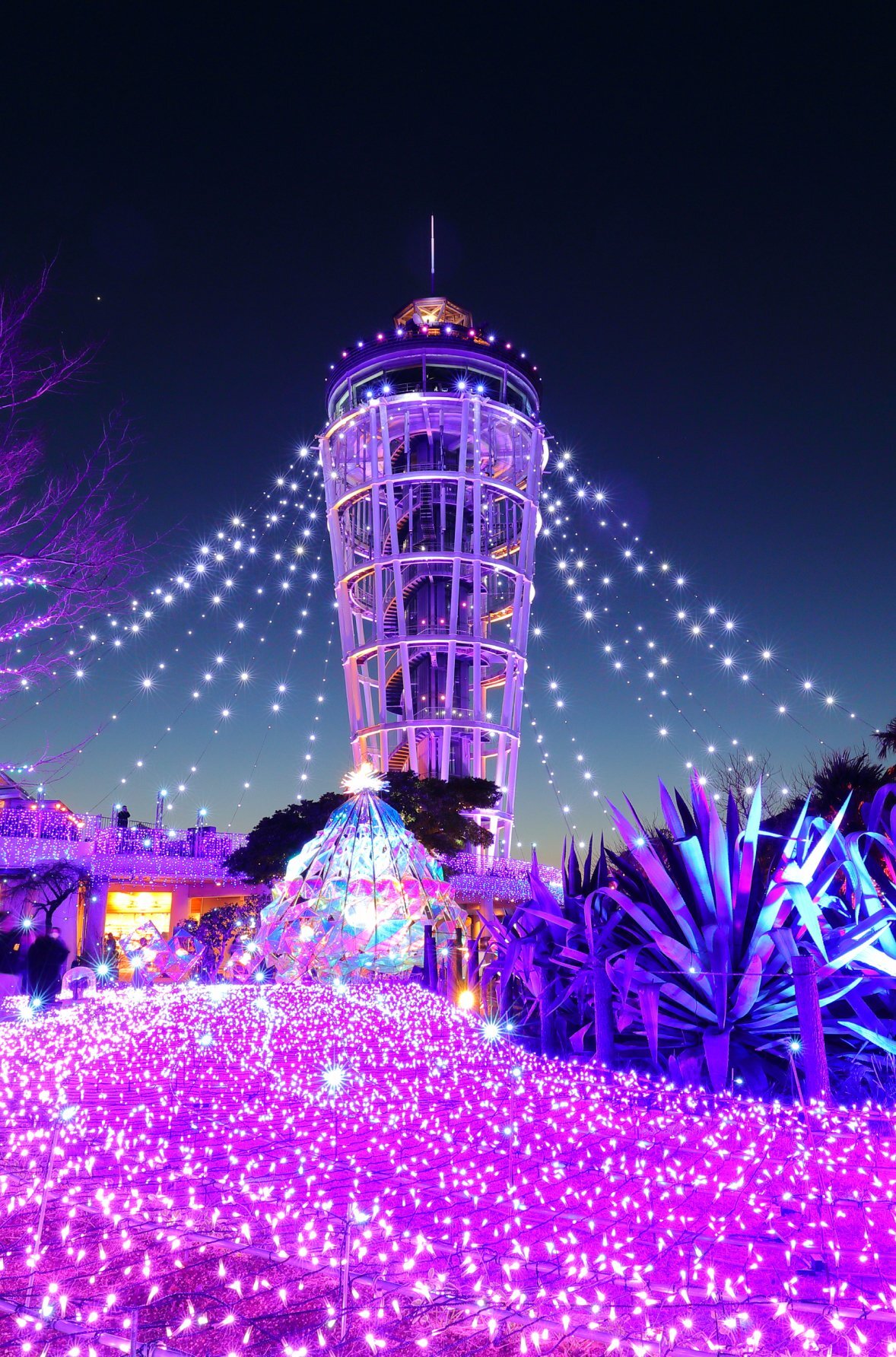 【最終日】💎湘南の宝石2026✨江の島イルミネーションナイトさんぽ