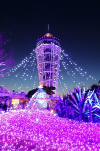 【最終日】💎湘南の宝石2026✨江の島イルミネーションナイトさんぽ