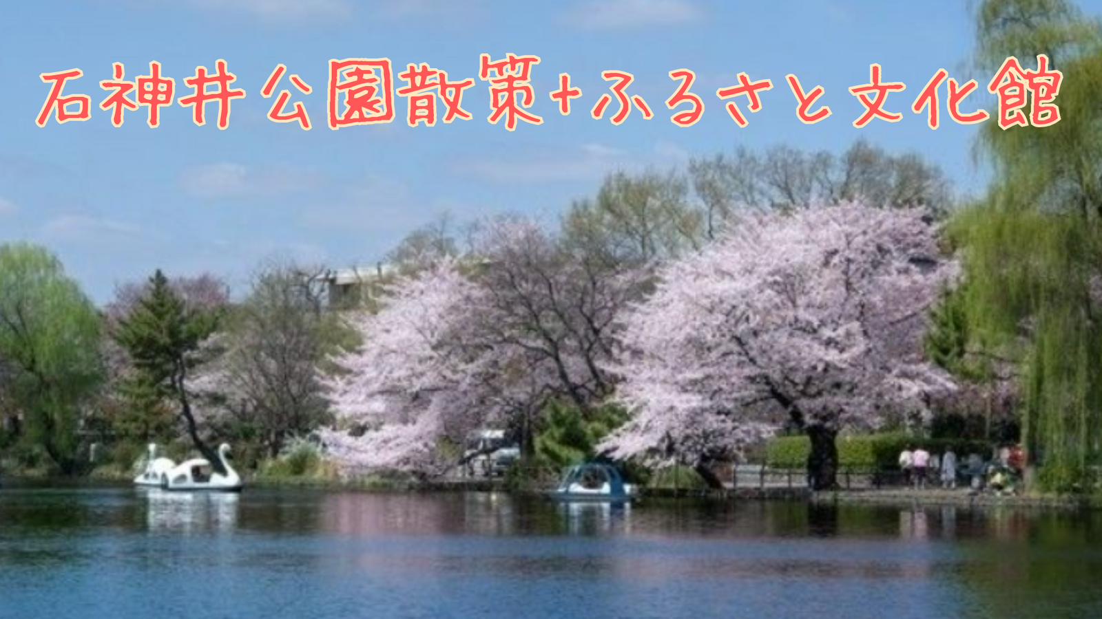 石神井公園散策+ふるさと文化館へ行こう🚶‍♀️‍➡️
