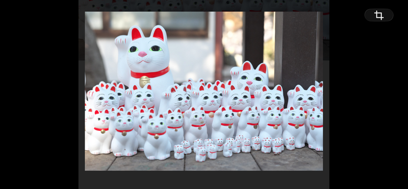 【世田谷・豪徳寺で招き猫に囲まれる癒やし散歩と商店街食べ歩き🍡🐾