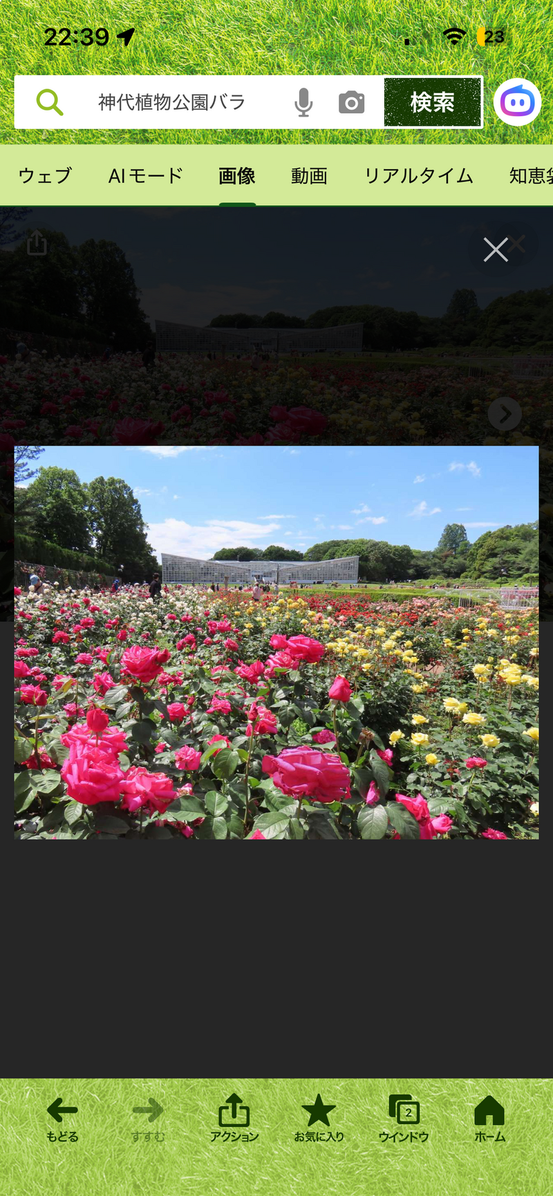 【👩女性限定新緑スポット🍃深大寺と神代植物公園春の公園散策🌺イベント