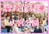 😊🌸大宮公園🌸20名😊3/28土11:00✨お花見✨