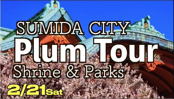 🌸 Plum Blossom Walking Tour in Sumida & Kameido
