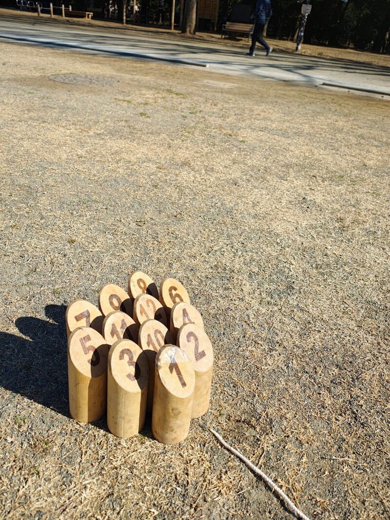 【初心者・1人参加歓迎】井の頭公園で話題のモルック！🍀（女性主催）