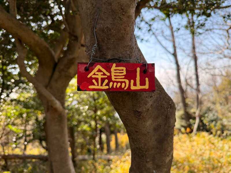 【2/21(土)神戸・金鳥山登山🌸】保久良梅林を満喫！パワースポット散策＆梅鑑賞（初心者歓迎）