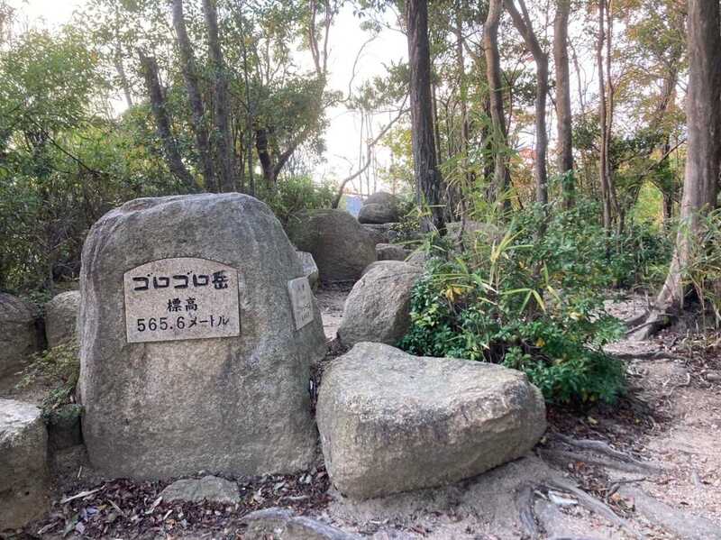 【2/28(土)9：30～】甲陽園〜宝塚12km縦走＆植物園で福寿草🌼ハイキング初心者・一人参加歓迎！