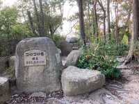 【2/28(土)9：30～】甲陽園〜宝塚12km縦走＆植物園で福寿草🌼ハイキング初心者・一人参加歓迎！