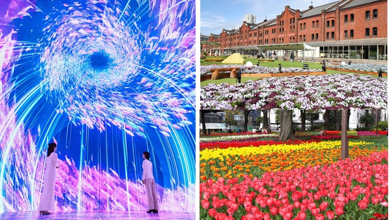 【女性主催】横浜没入型体験ワンダリアと赤レンガ倉庫FLOWER GARDENに行こう！