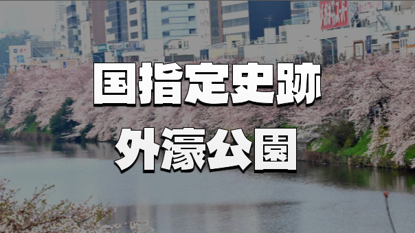 桜の名所・国指定の史跡の外濠公園ナイトウォークを楽しもう！