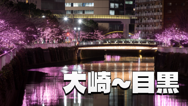 川に沿って歩くだけで楽しい、大崎から目黒の夜桜ルート🌸