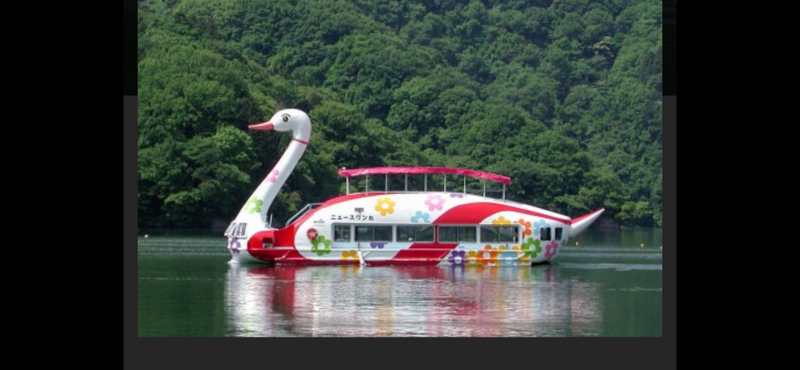 🎫神奈川と思わせるイベント相模湖と高尾トリリックアート美術館