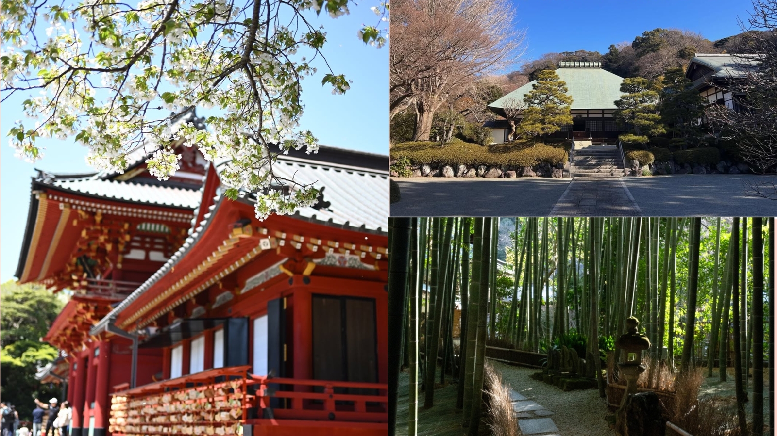 【女性主催】食べ歩きと鎌倉の神社仏閣巡りしながら藤の花を見に行こう！