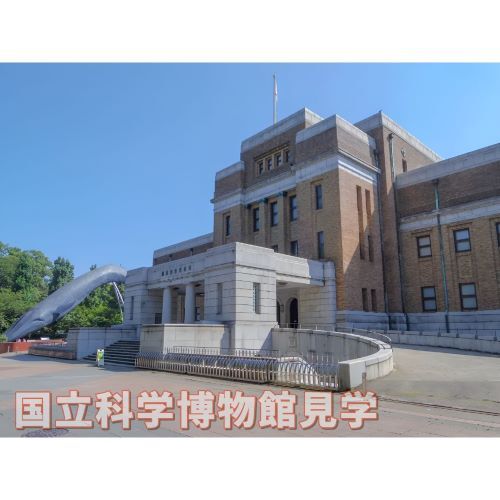 【7/12開催】上野・国立科学博物館🦕見学✨
