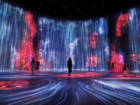 【2/23開催】麻布台ヒルズで体感！チームラボ没入アートツアー🌈お一人様気軽に参加OK