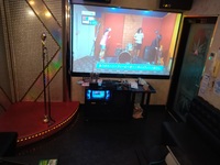 【現在8名】カラオケＤＥミュージカル新宿🎤