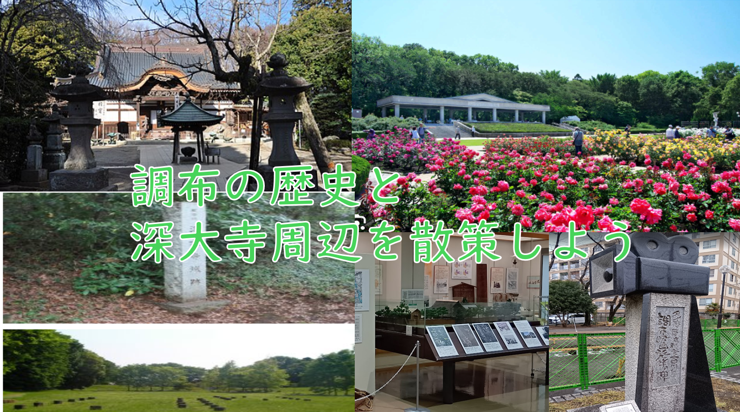 【調布の歴史とバラを楽しもう】調布＋深大寺周辺を散策しよう（説明・解説付）