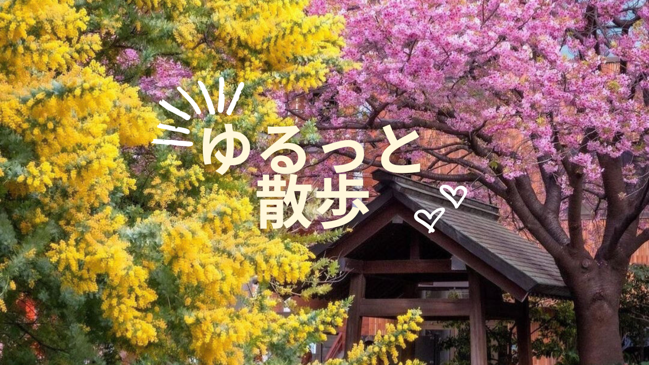 【20代・女性主催】蔵前神社のミモザと桜を見ながらゆるっと朝散歩🌸✨