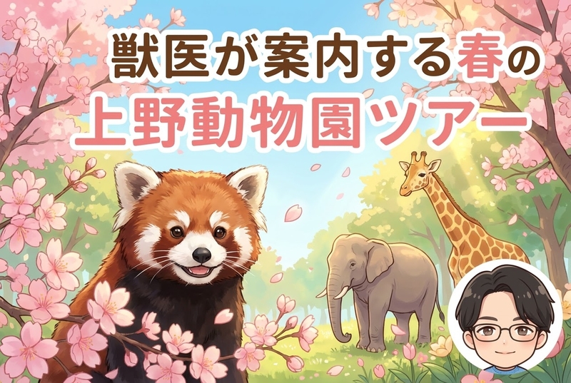 🌸獣医が案内する春の上野動物園ツアー🦁