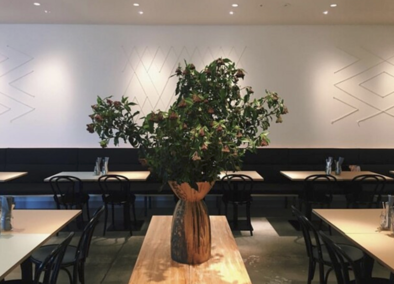 【男女共催】新宿の緑のオアシスで夜カフェしよう🌃