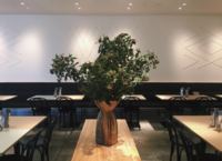 【男女共催】新宿の緑のオアシスで夜カフェしよう🌃