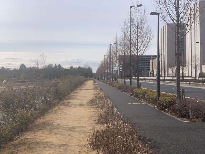 【立川】昭和記念公園外周(7.5km) ランニング 12:00- ※初心者です
