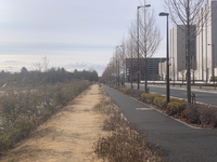 【立川】昭和記念公園外周(7.5km) ランニング 12:00- ※初心者です