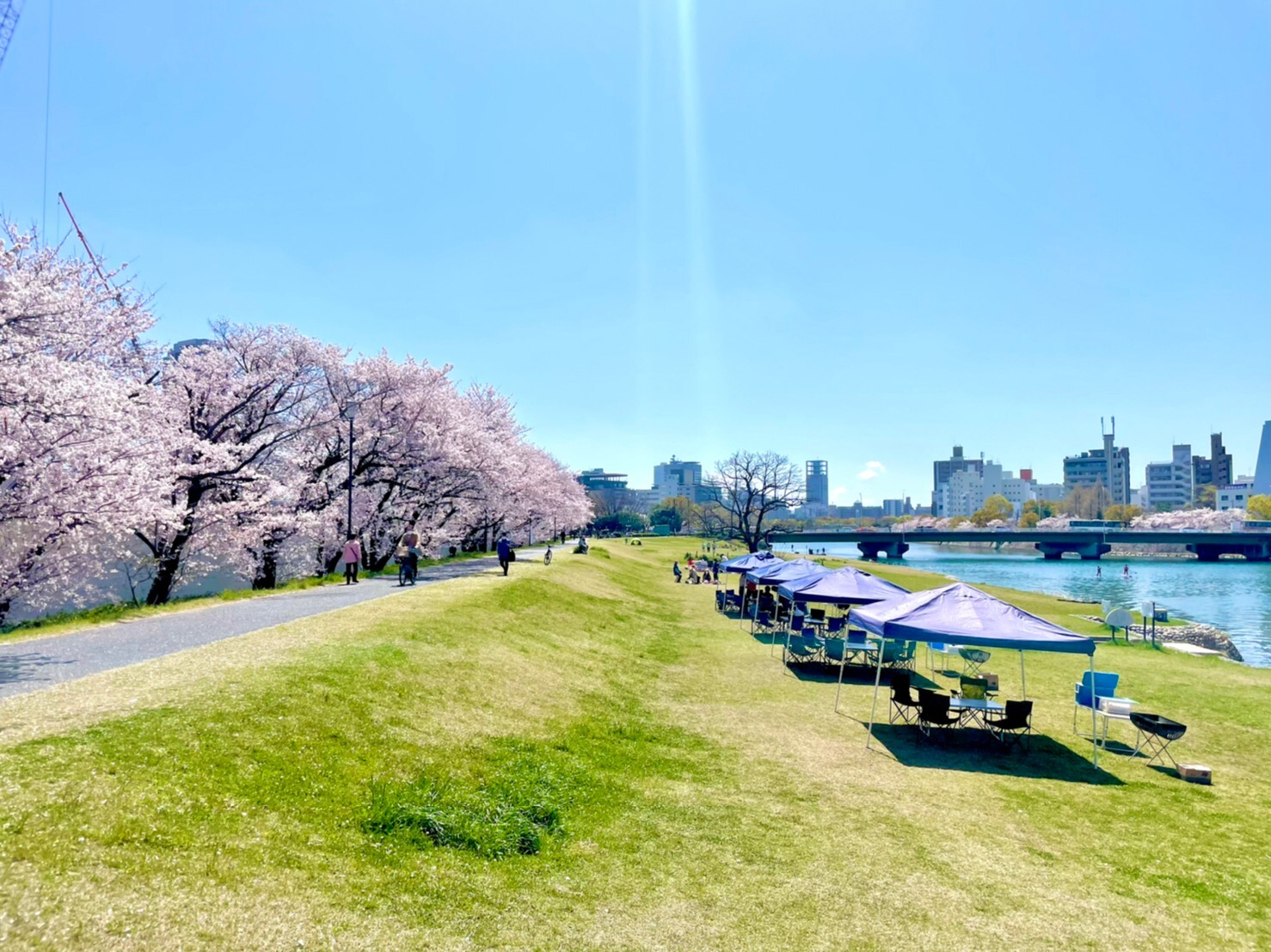 【花見🌸BBQ🍖4/5開催】ひろしまゲートパーク（河川敷）で桜満開BBQ🌸で春を満喫しよう！