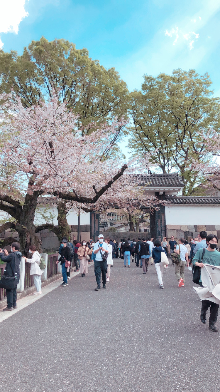 【4/4（土）開催】皇居でワクワクお花見交流会🌸 新春新しい仲間と特別体験！