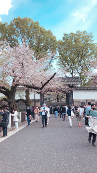 【4/4（土）開催】皇居でワクワクお花見交流会🌸 新春新しい仲間と特別体験！