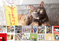 【メンバー限定！】3/8 13時半　湯島　ねこまつりフェス！【参加費還元！】