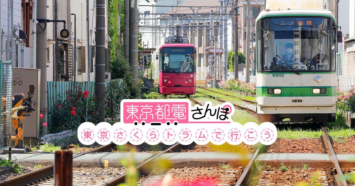【東京都電さんぽ】〜そうだサクラトラムに乗ろう！〜初参加歓迎&少人数開催！