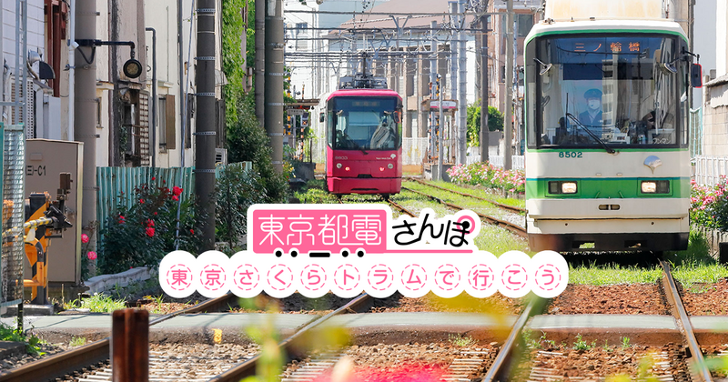 【東京都電さんぽ】〜そうだサクラトラムに乗ろう！〜初参加歓迎&少人数開催！